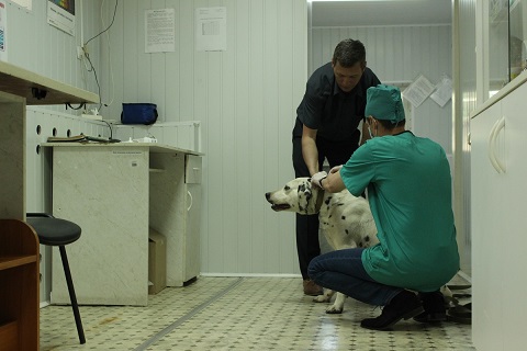 � ��������� ��� ������ � ����������