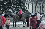 DSC_0780.JPG