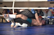 DSC_2376.JPG