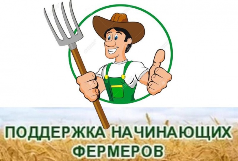 Cубсидии в виде гранта на поддержку начинающего фермера, на развитие семейной фермы! Cубсидии в виде гранта на поддержку начинающего фермера, на развитие семейной фермы!