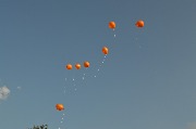 DSC_0105.JPG