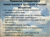 Как нельзя себя вести у Вечного огня? Как нельзя себя вести у Вечного огня?