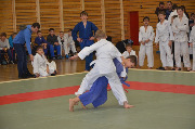DSC_0395.jpg