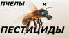 Вниманию пчеловодов и сельскохозяйственных товаропроизводителей! Вниманию пчеловодов и сельскохозяйственных товаропроизводителей!