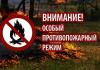 В Щекинском районе переведены в режим повышенной готовности силы, привлекаемые к тушению пожаров В Щекинском районе переведены в режим повышенной готовности силы, привлекаемые к тушению пожаров