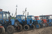 DSC_4874.JPG