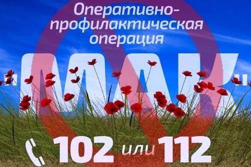 ���� - 2021�