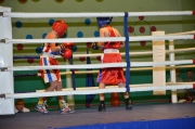 DSC_8185.JPG