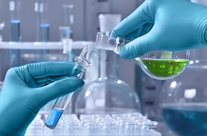 �������� ���� �� ������������ ���������� �����������