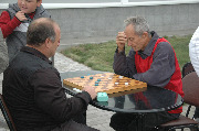 DSC_1737.JPG