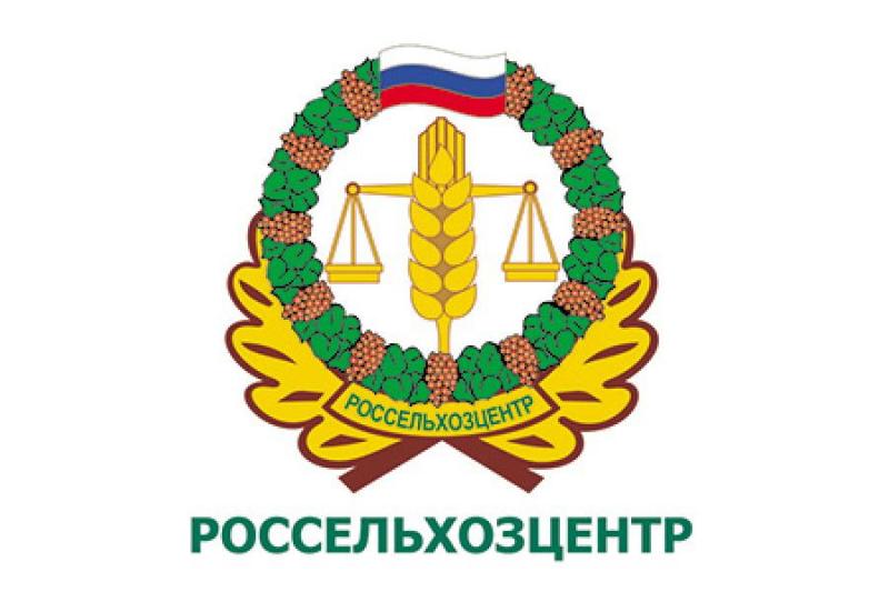 Борщевик Сосновского! Борщевик Сосновского!