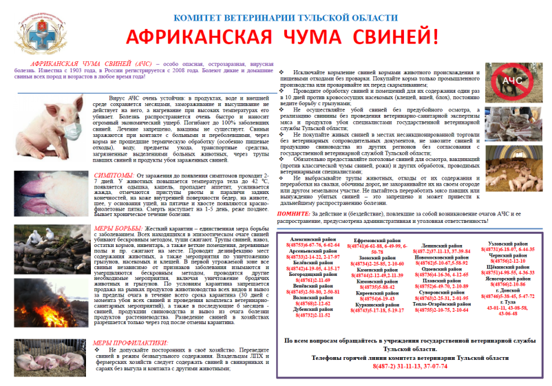 Меры по предупреждению возникновения и распространения африканской чумы свиней! Меры по предупреждению возникновения и распространения африканской чумы свиней!