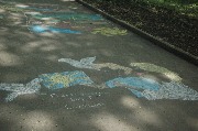 DSC_0305.JPG