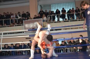 DSC_2545.JPG