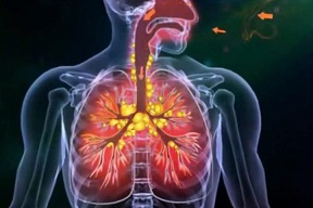 ��������! �������� ������ �� ������������ �����������.