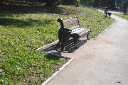 DSC_6165.JPG