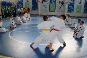DSC_9207.JPG