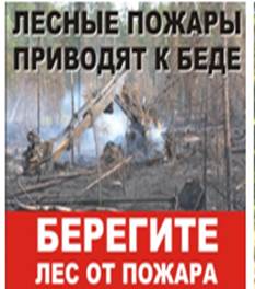 Действия при пожарах в лесу Действия при пожарах в лесу