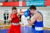 В Щекинском районе проходит чемпионат ЦФО России по боксу В Щекинском районе проходит чемпионат ЦФО России по боксу