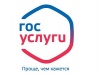 Какие муниципальные услуги можно получить в электронной форме Какие муниципальные услуги можно получить в электронной форме