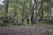 DSC_9166.JPG