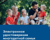 Цифровое удостоверение для многодетных семей Цифровое удостоверение для многодетных семей