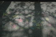 DSC_0392.JPG