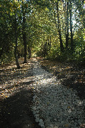 DSC_2540.JPG