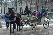 DSC_0806.JPG
