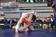 DSC_2528.JPG