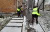 В г. Щекино проходит ежедневное благоустройство и уборка территории - вывоз свалок, очистка дорог и уход за парками В г. Щекино проходит ежедневное благоустройство и уборка территории - вывоз свалок, очистка дорог и уход за парками