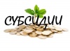 КТО МОЖЕТ ПОЛУЧИТЬ СУБСИДИЮ? КТО МОЖЕТ ПОЛУЧИТЬ СУБСИДИЮ?