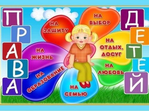 20  -     