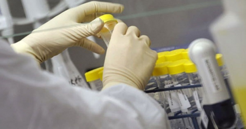 �� ������������������ �������� �� ������������ � ������������                                                          �������������� � ��������� ������      � 10 �������  2018 ���� �� 16 �������  2018 ����.    