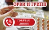 В Щекино работает "горячая линия" по профилактике гриппа и ОРВИ В Щекино работает "горячая линия" по профилактике гриппа и ОРВИ