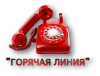 «Горячая линия» по вопросам Интернет-торговли «Горячая линия» по вопросам Интернет-торговли